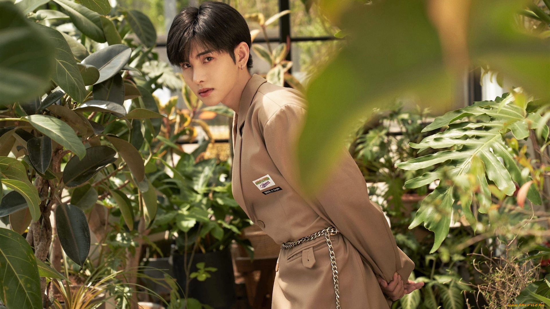 zheng, fanxing, мужчины, zheng, fan, xing, актер, пиджак, сад