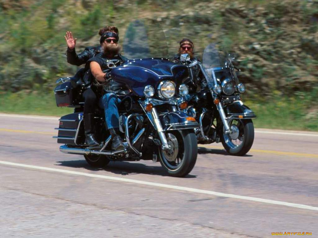 bratwa, мотоциклы, harley, davidson
