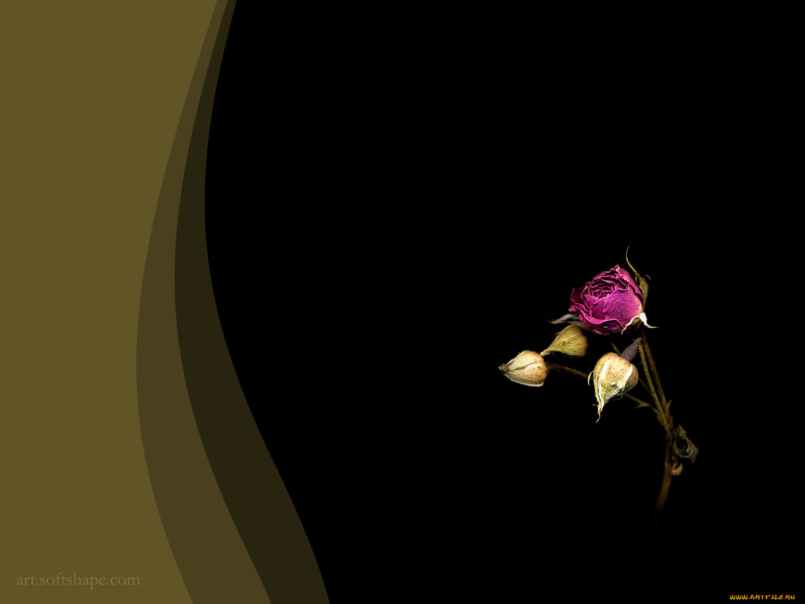 компьютеры, desktop, decor