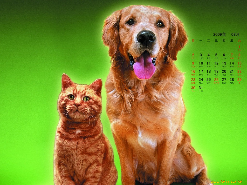 календари, животные