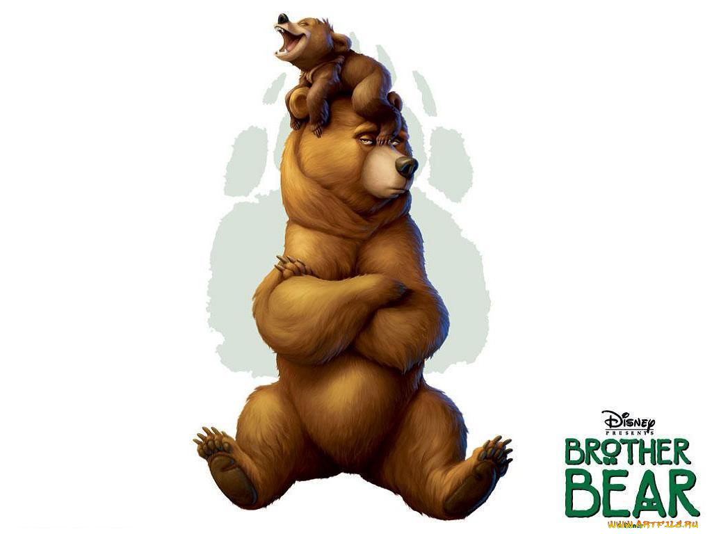 мультфильмы, brother, bear