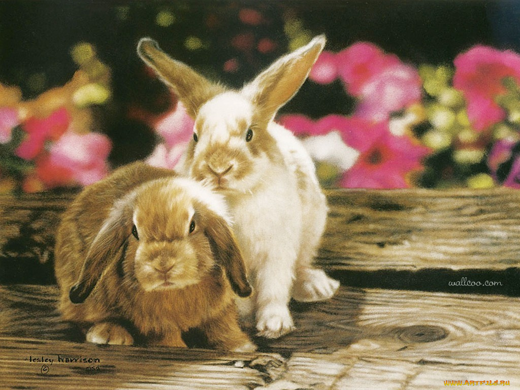 рисованные, животные