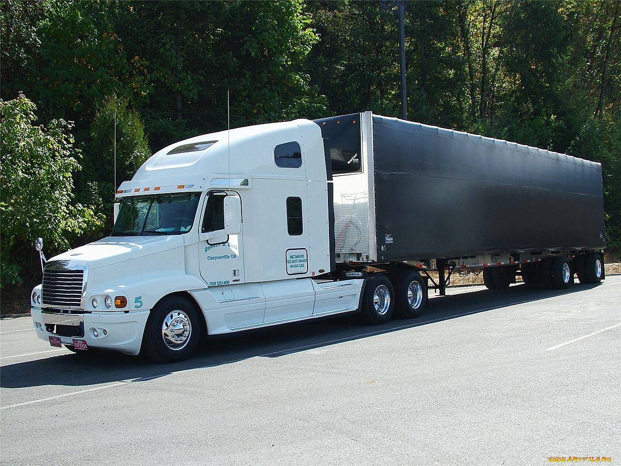 автомобили, freightliner