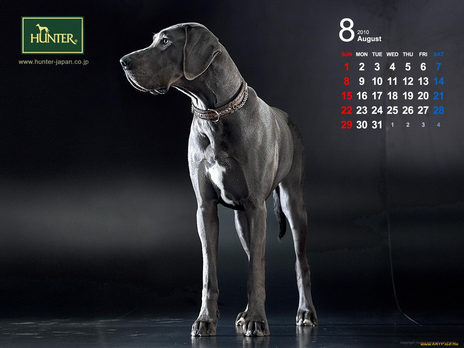 бренды, hunter