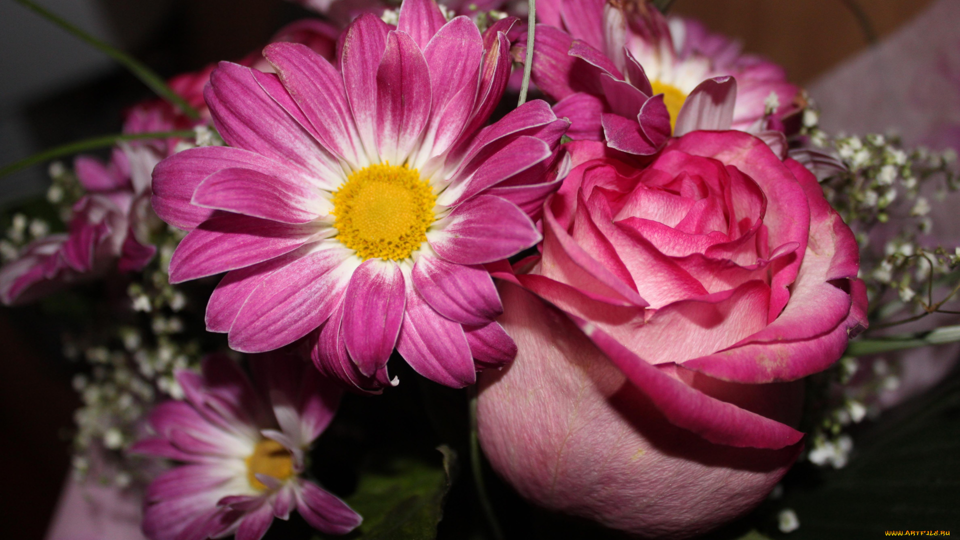 цветы, букеты, композиции, роза