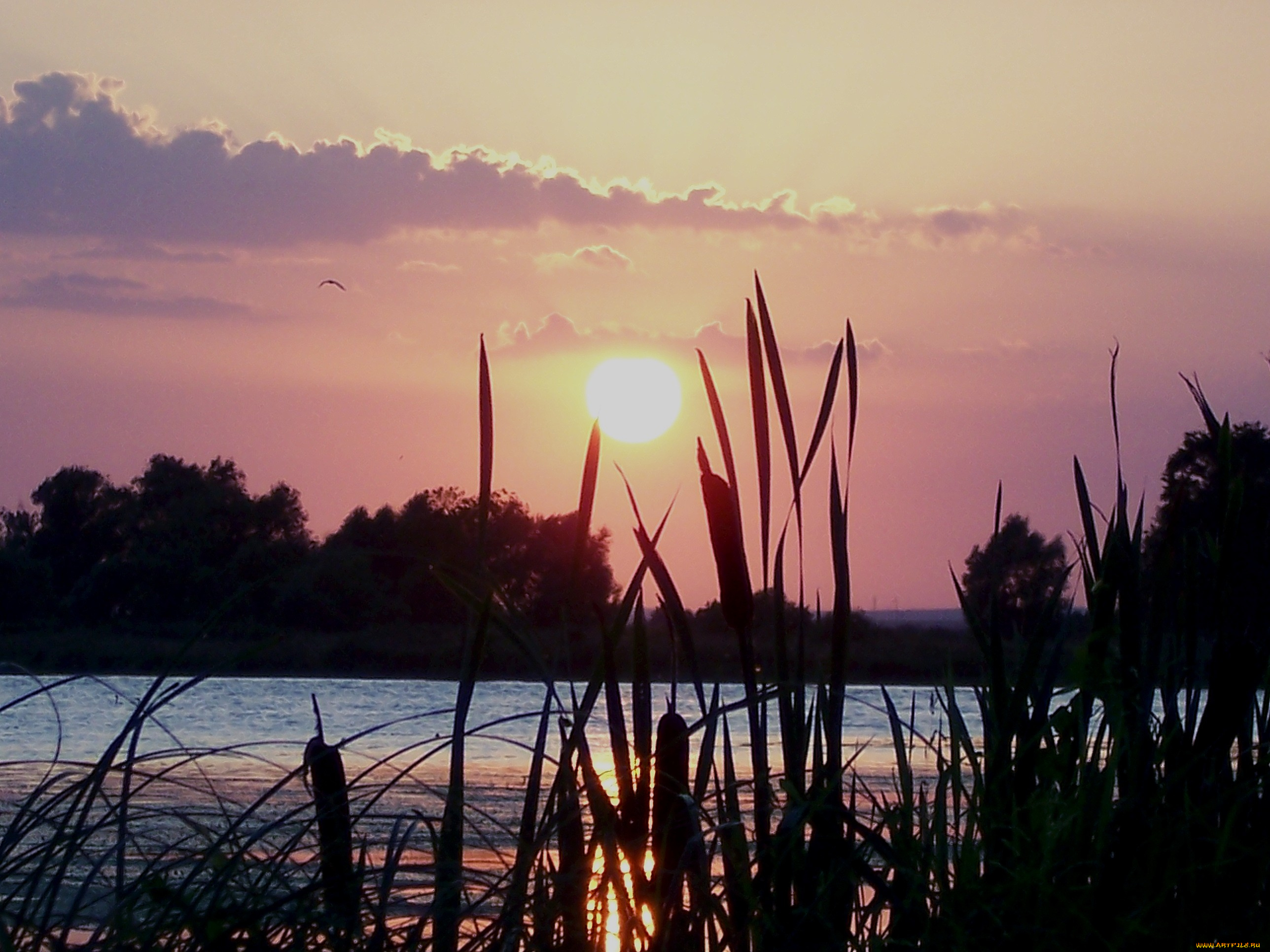 теплый, закат, природа, восходы, закаты, любовь, июль, тепло