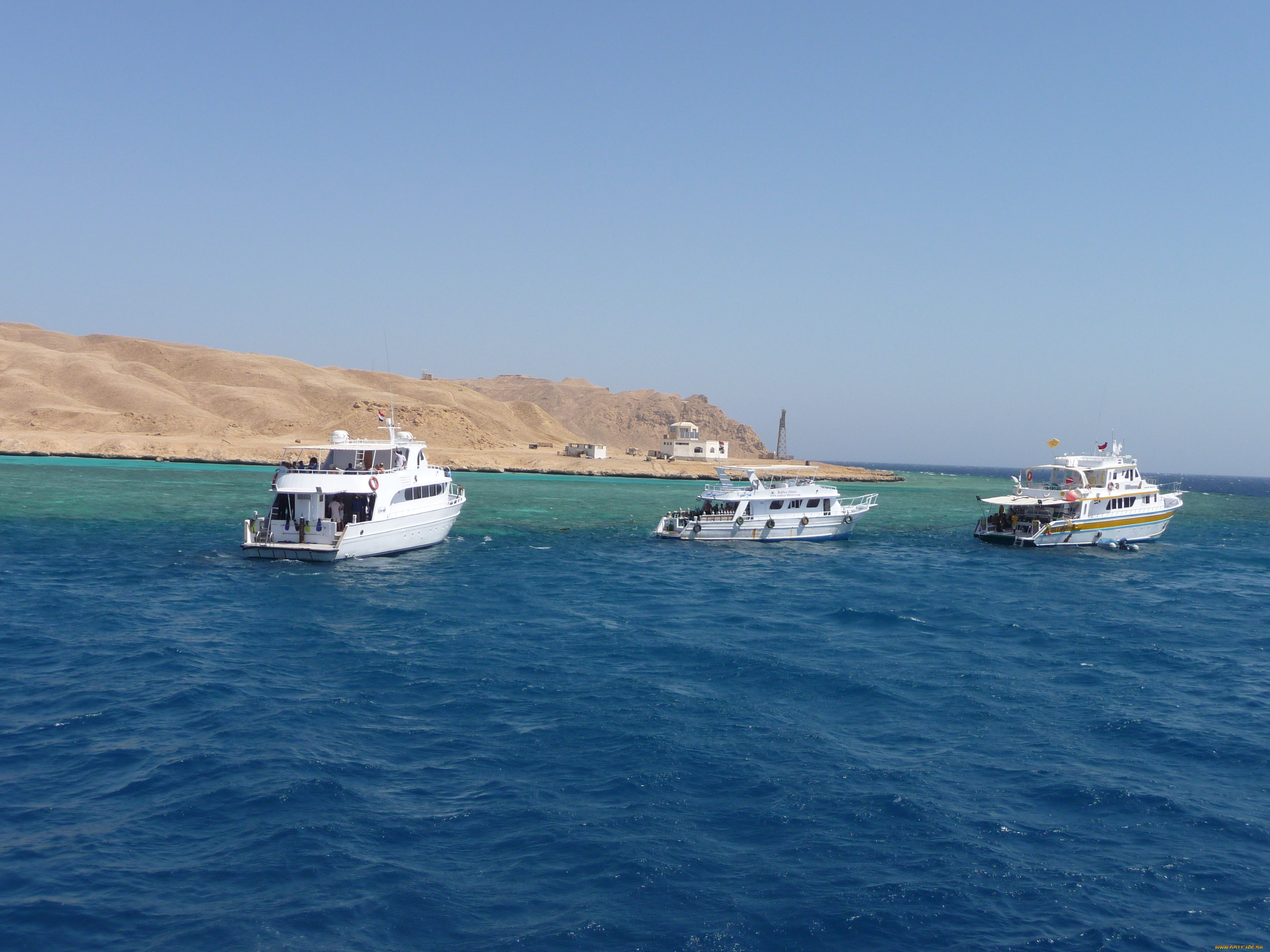 корабли, разные, вместе, море, яхты, песчаный, остров