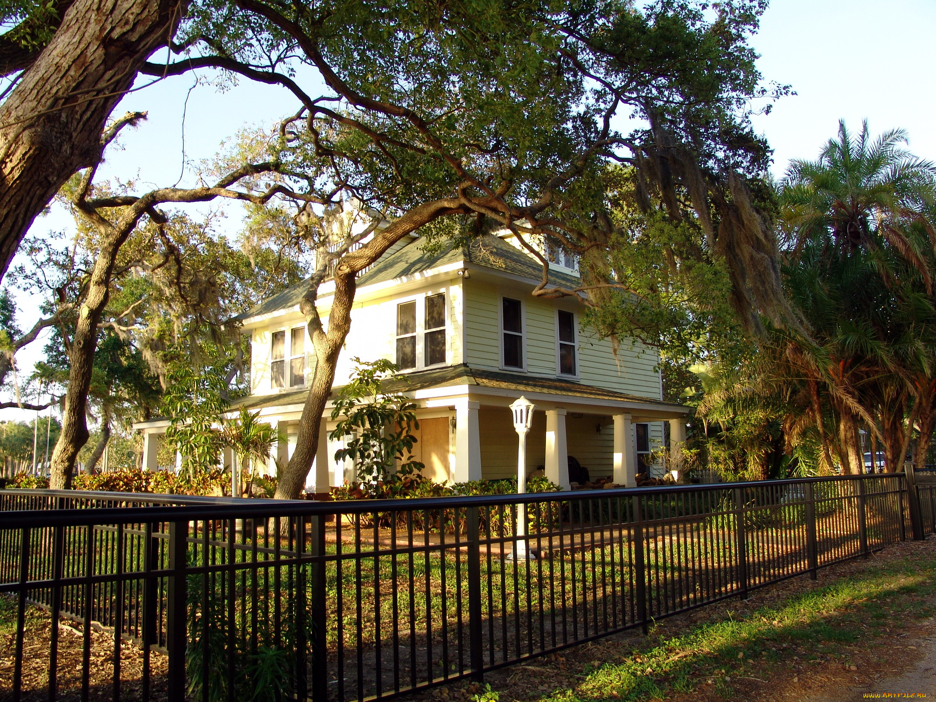 флорида, данедин, города, здания, дома, дом, сад