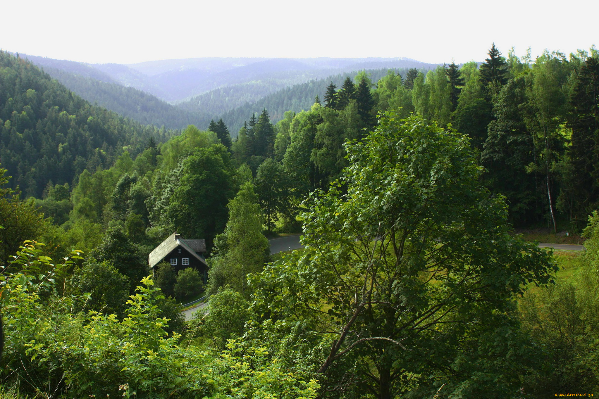 природа, лес, горы, избушка