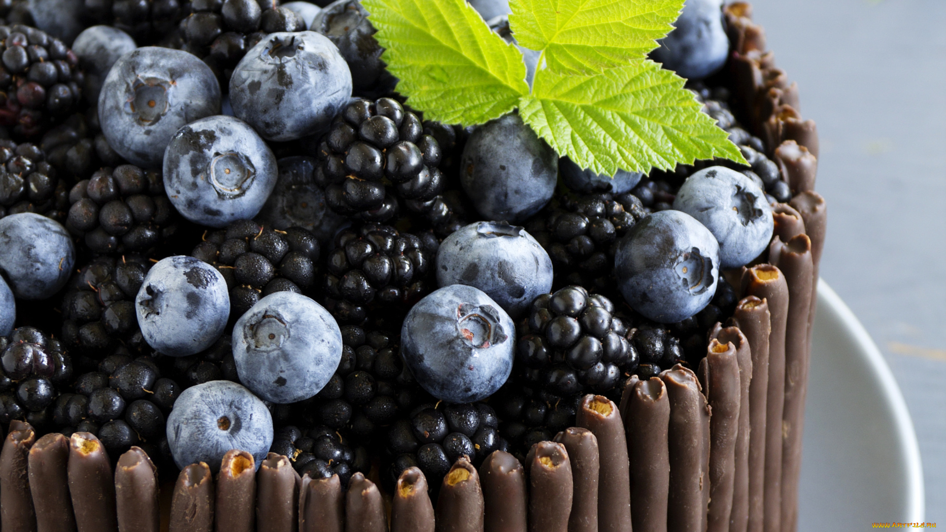 еда, торты, голубика, ежевика