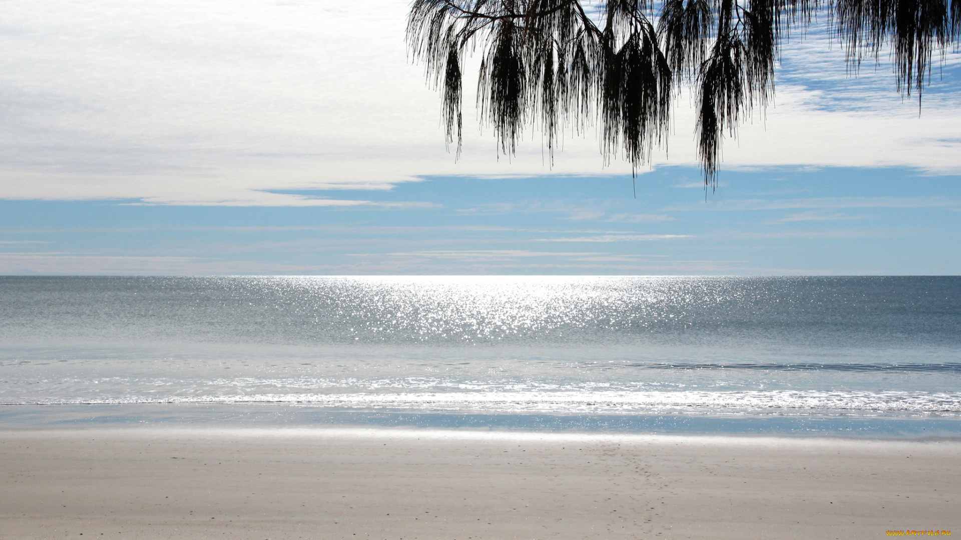 природа, моря, океаны, небо, пляж, море, ветка