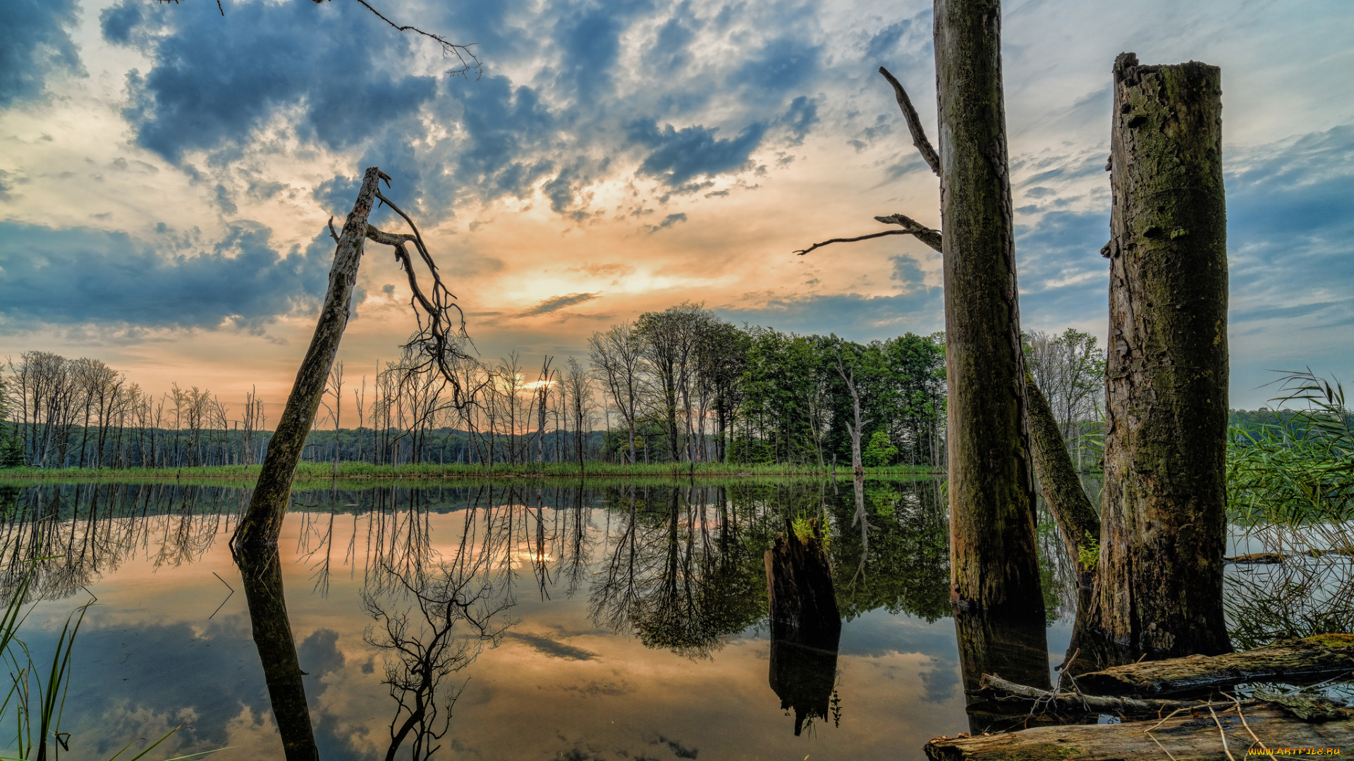 природа, реки, озера, лес, река, облака