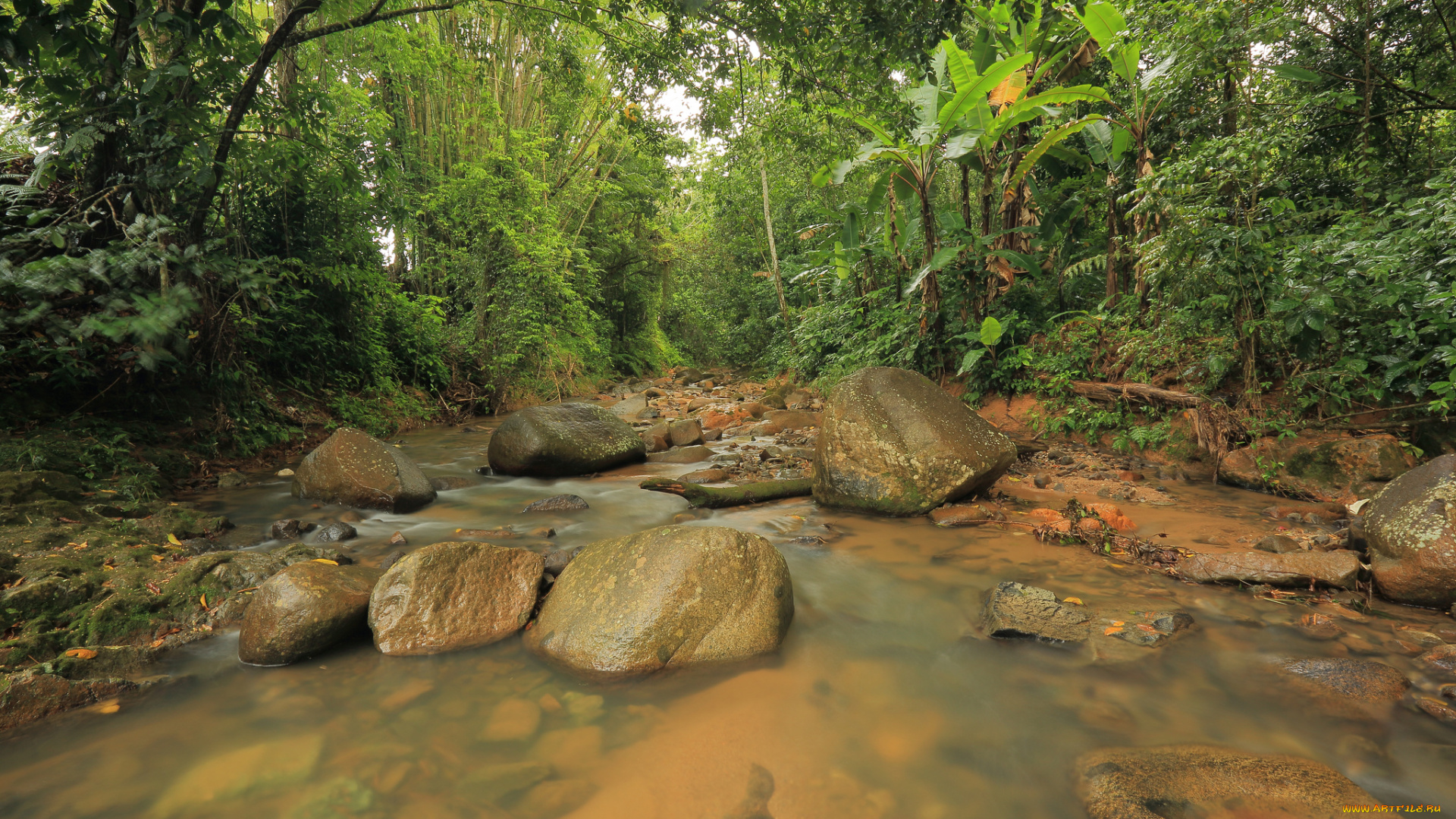 природа, реки, озера, лес, ручей, валуны