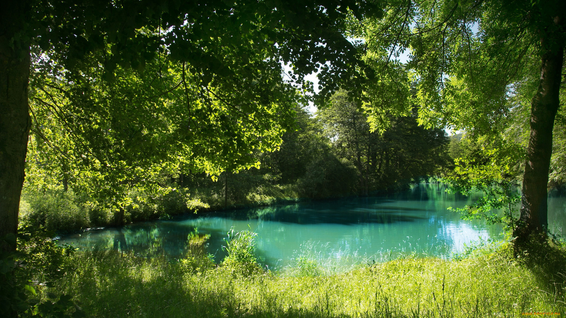 природа, реки, озера, лето, река, эссинг, германия, бавария, деревья