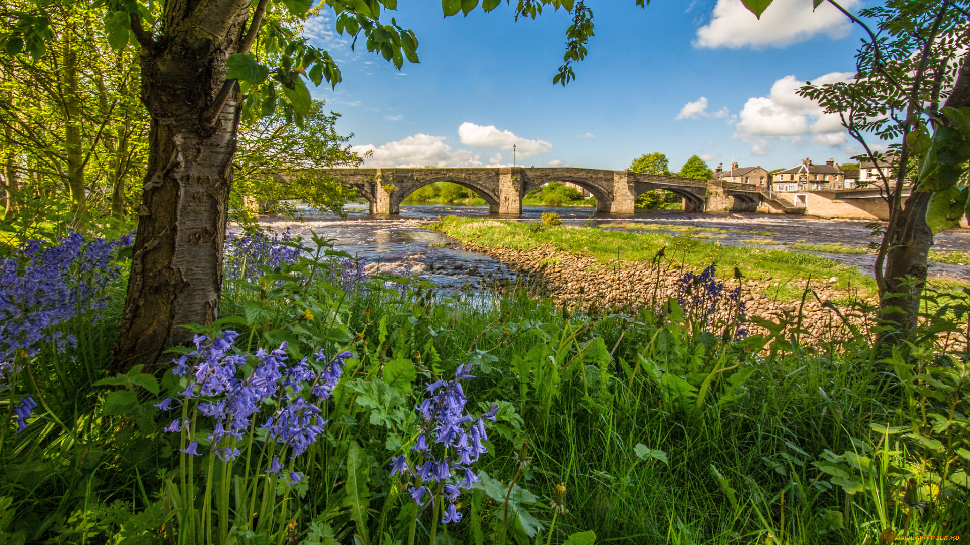 природа, реки, озера, мост, река, лес