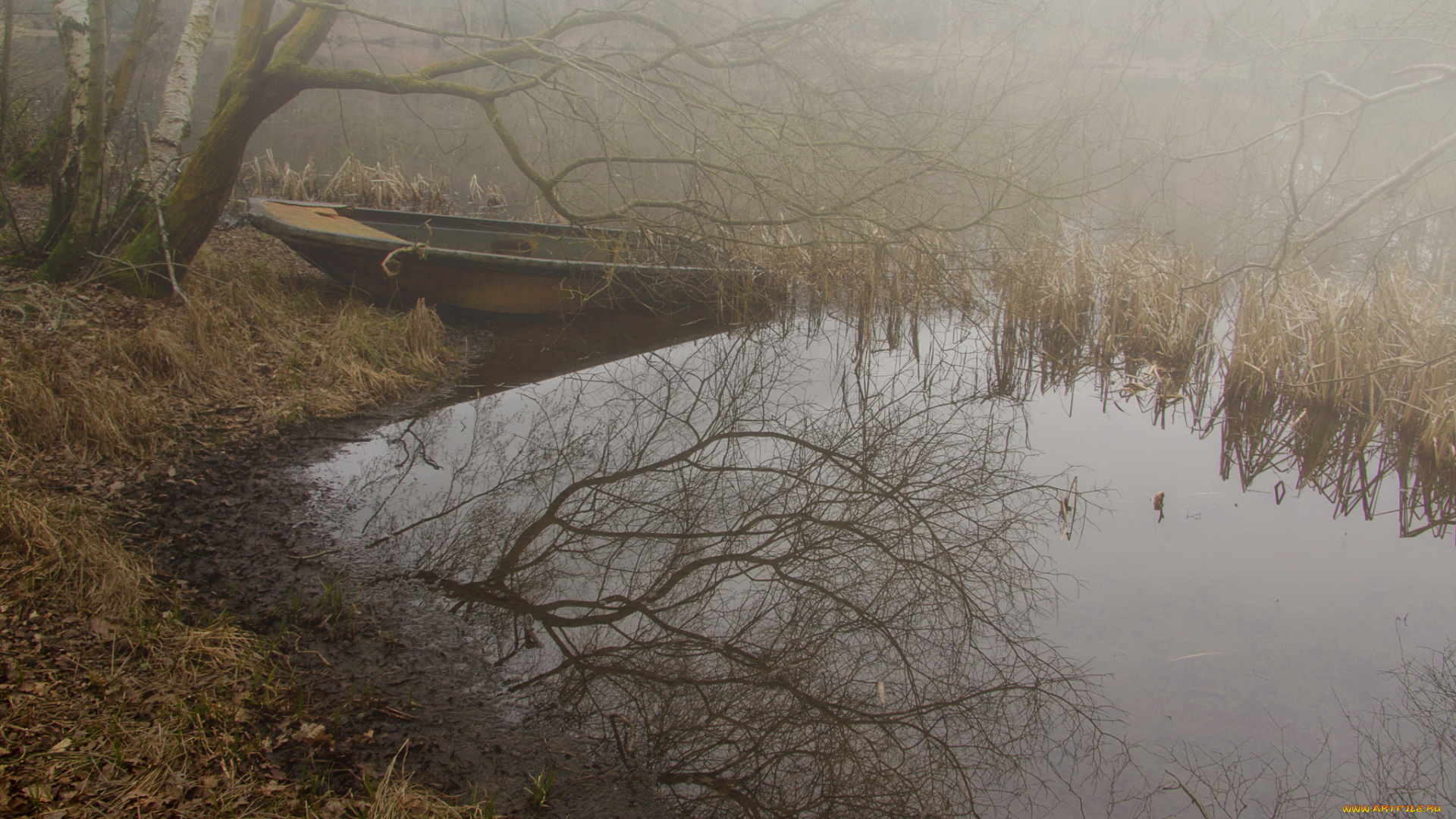 природа, реки, озера, осень, лес, лодка, озеро, туман