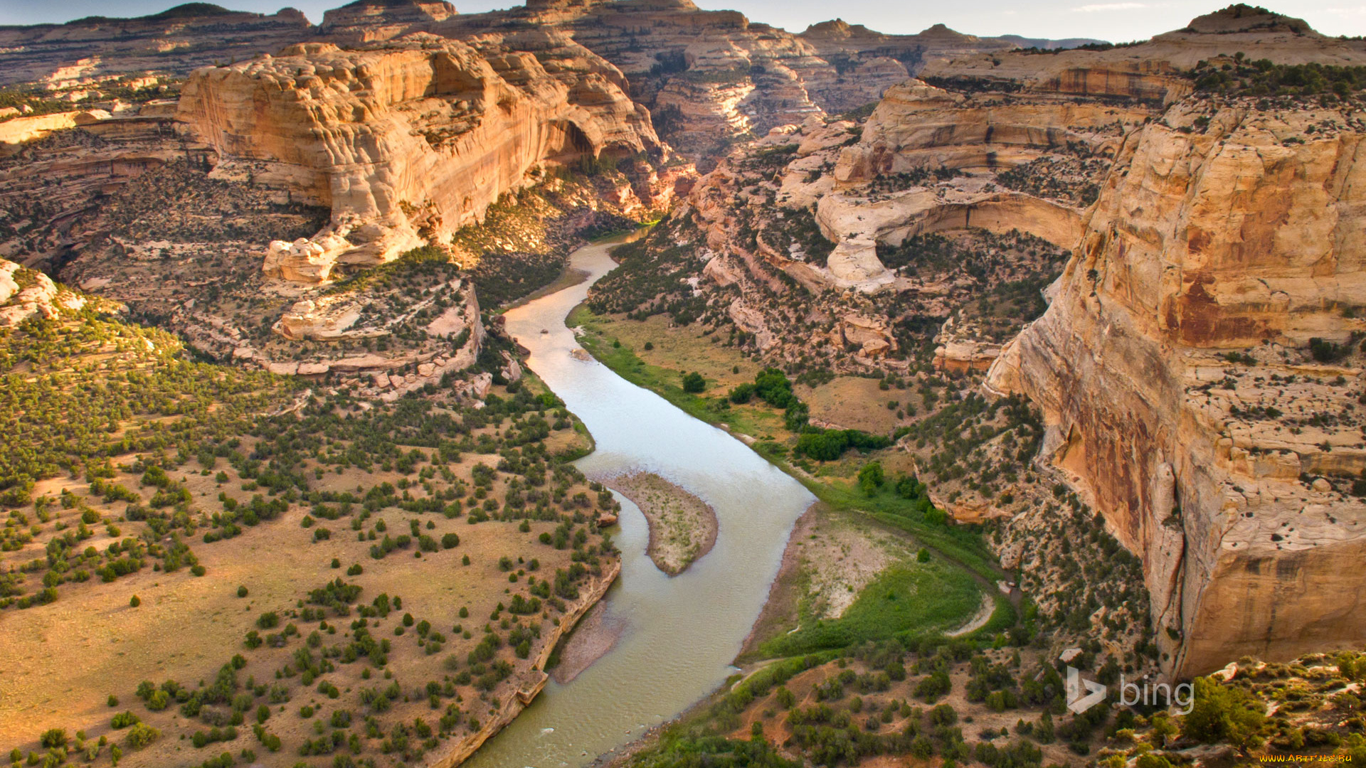 природа, реки, озера, поток