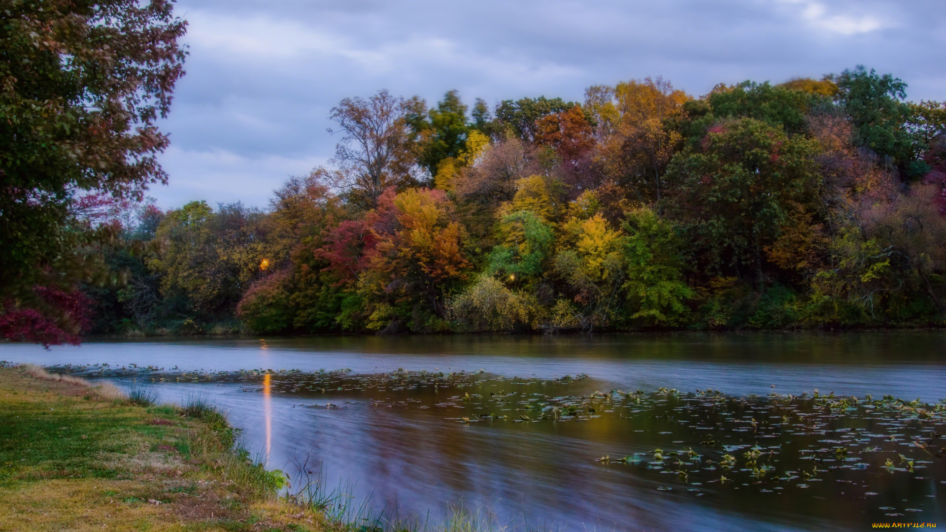 природа, реки, озера, река, лес