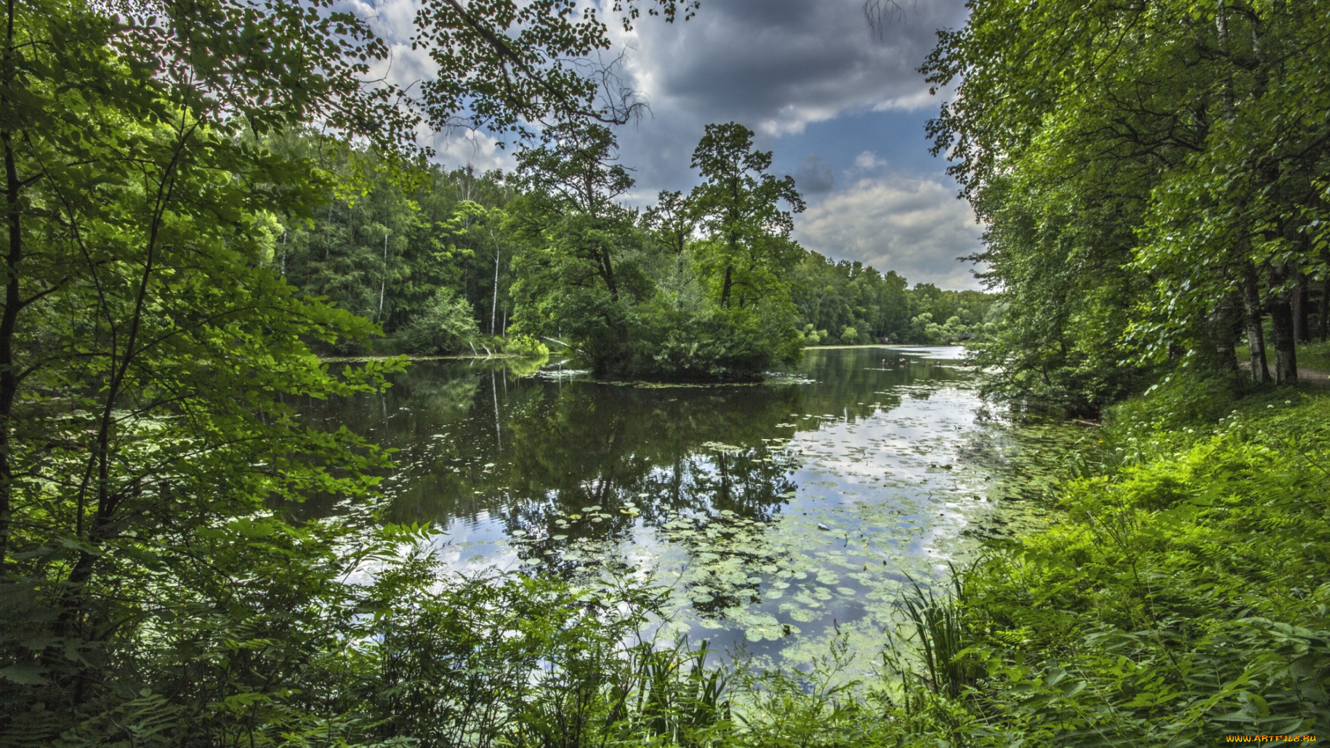 природа, реки, озера, зелень