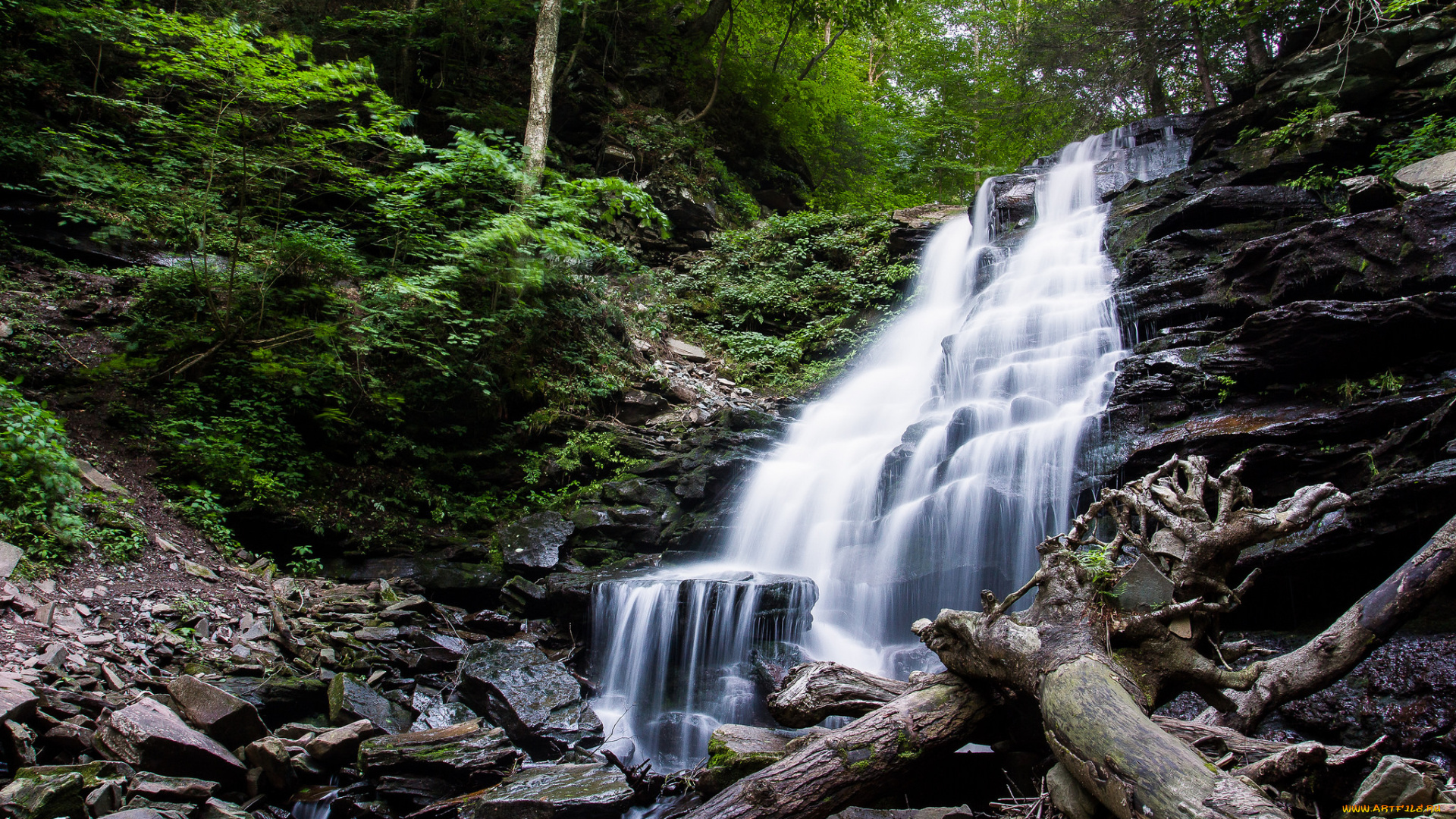 природа, водопады, водопад, скалы, лес