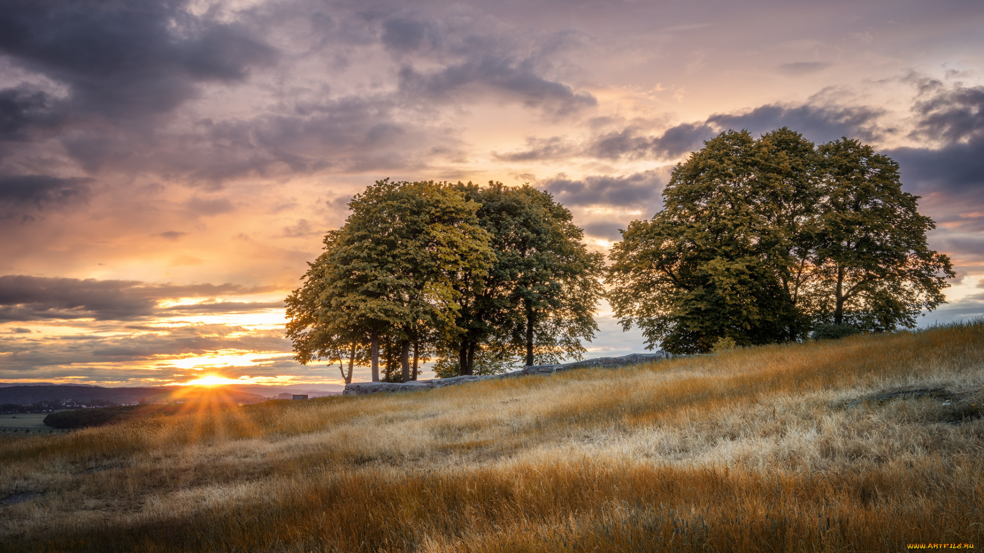 природа, восходы, закаты, деревья, трава, равнина