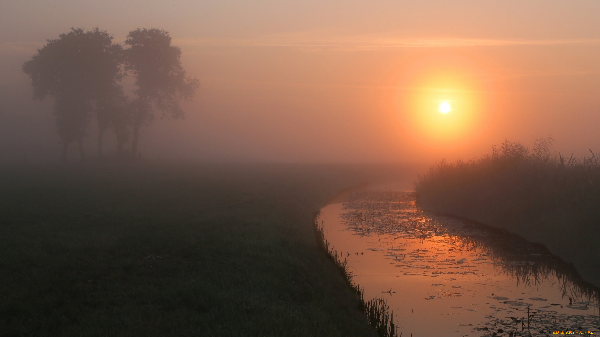 природа, восходы, закаты, река, туман
