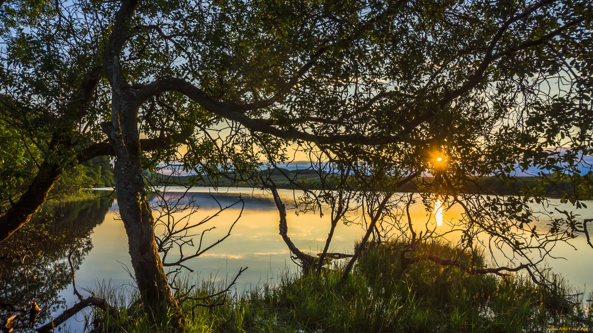 природа, восходы, закаты, солнце, ветки, озеро