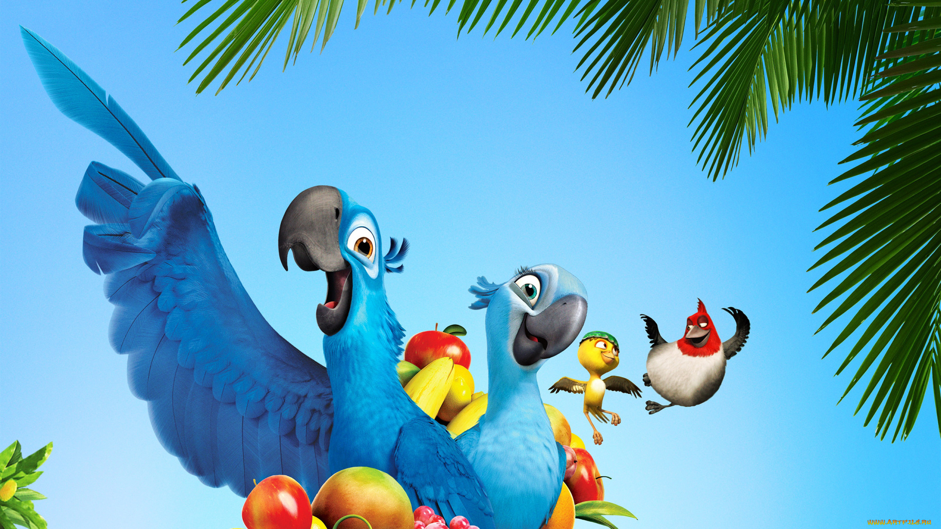 rio, мультфильмы, рио