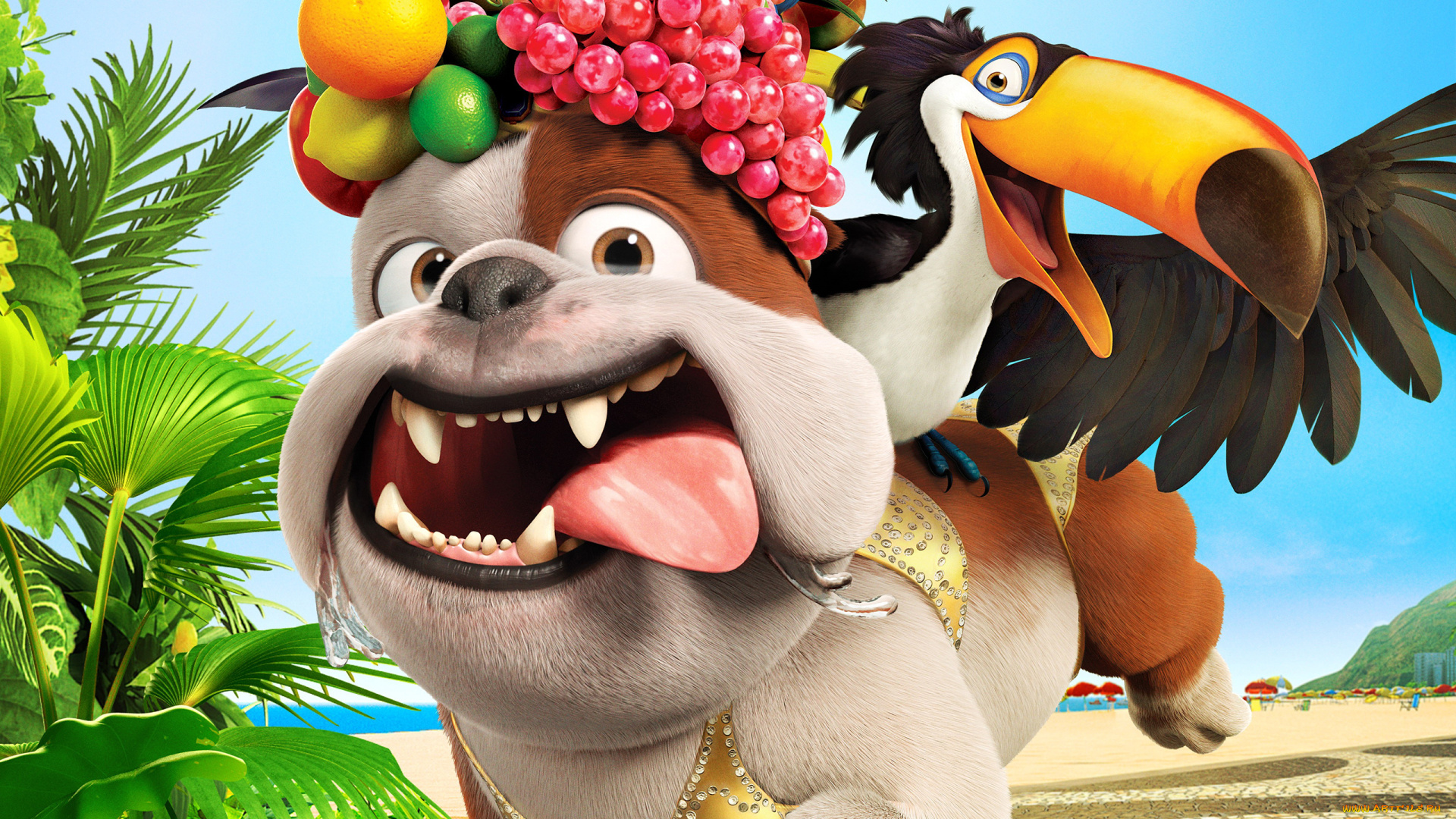 rio, мультфильмы, рио