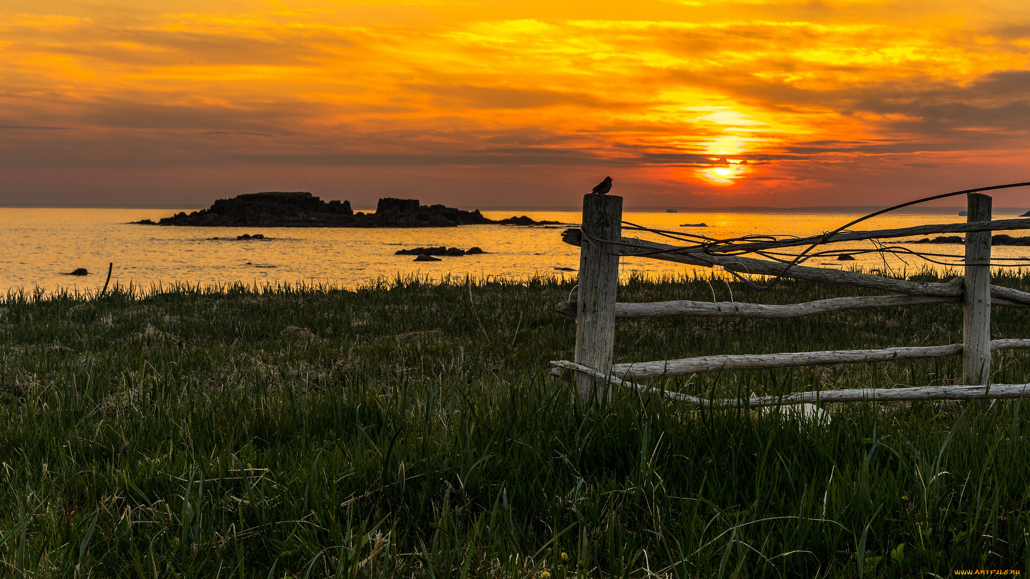 природа, восходы, закаты, зарево, тучи, водоем, вечер