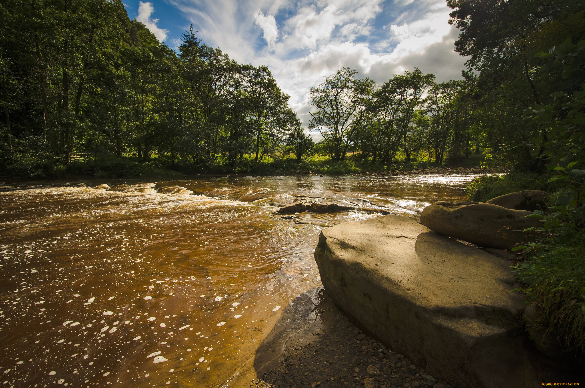 природа, реки, озера, река, лес