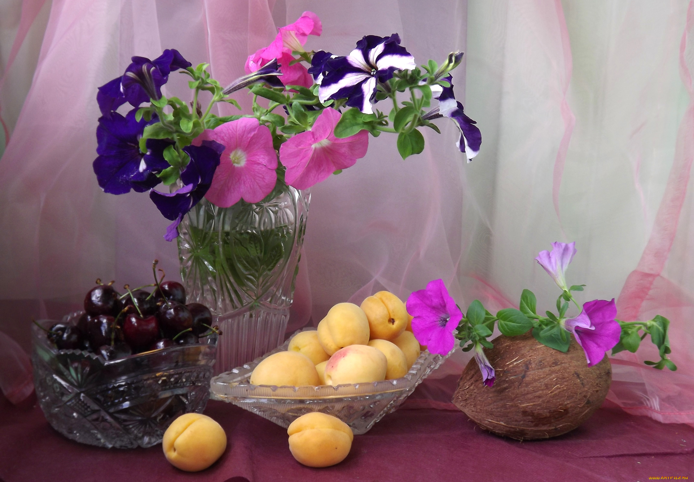 еда, фрукты, , ягоды, вишня, абрикосы, петуния