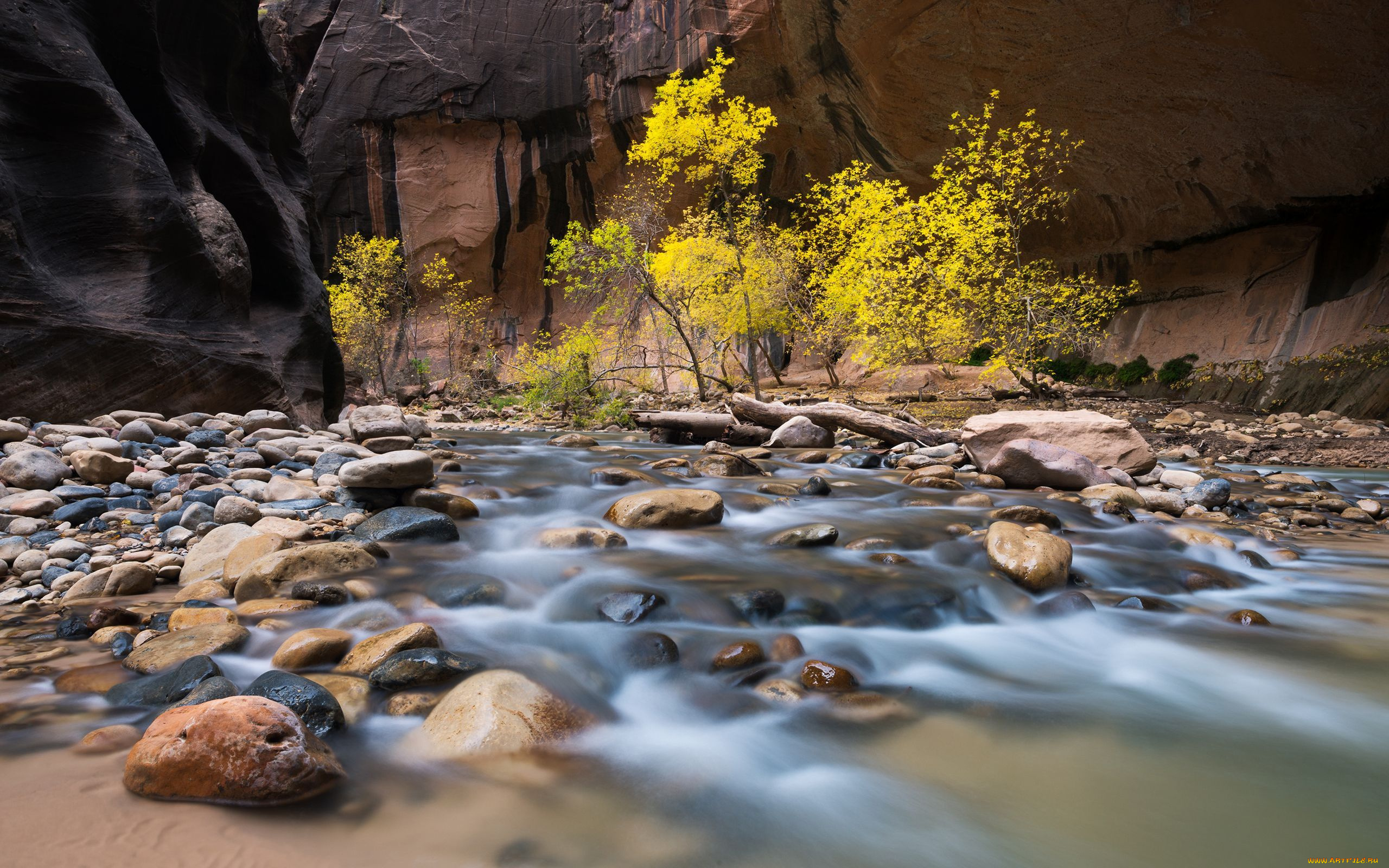 природа, реки, озера, поток, деревья, камни