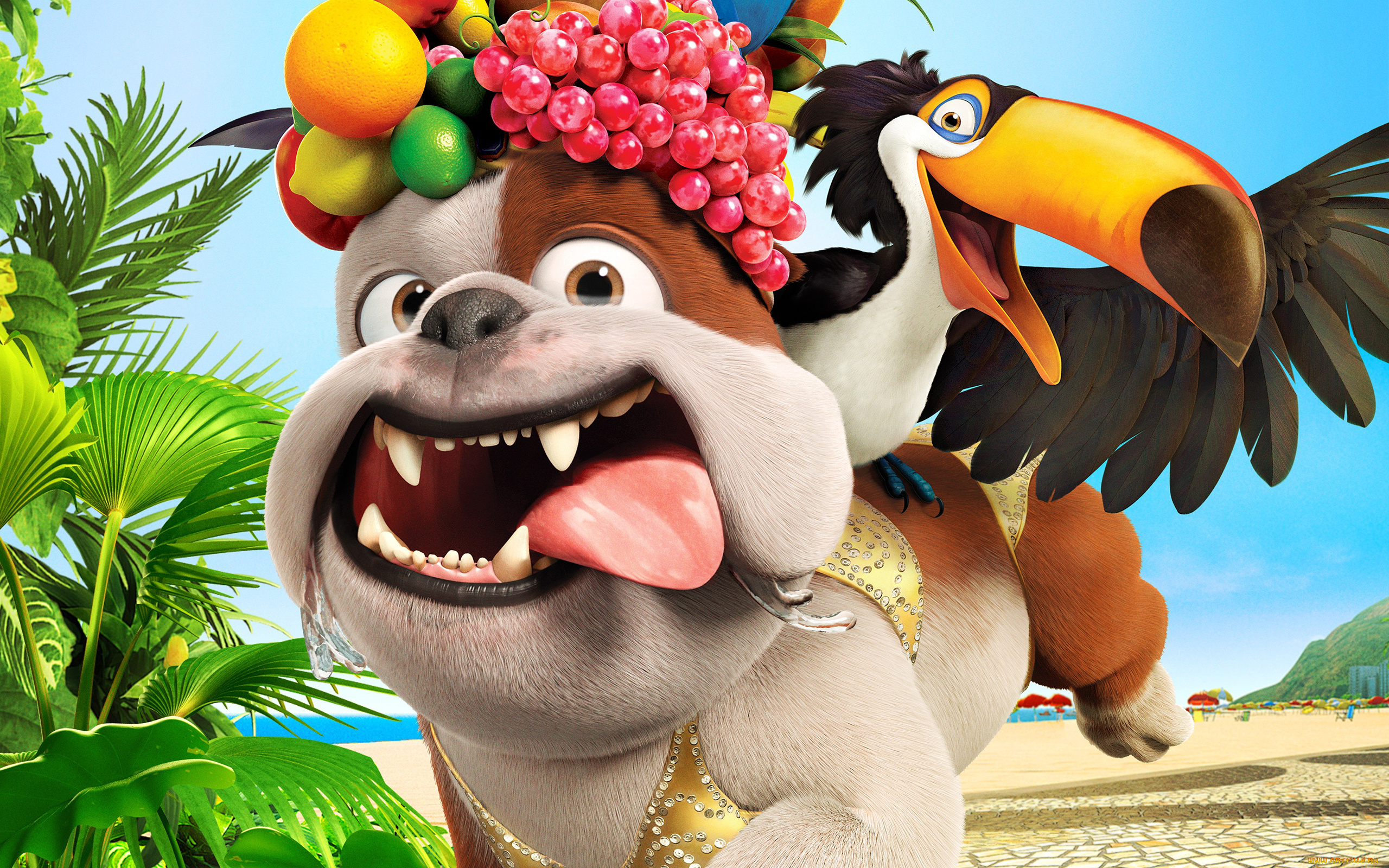 rio, мультфильмы, рио