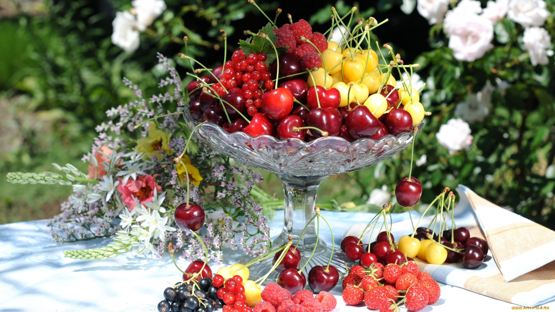 еда, фрукты, , ягоды, смородина, изобилие, цветы, клубника, черешня, малина, ягоды, роскошь, лето