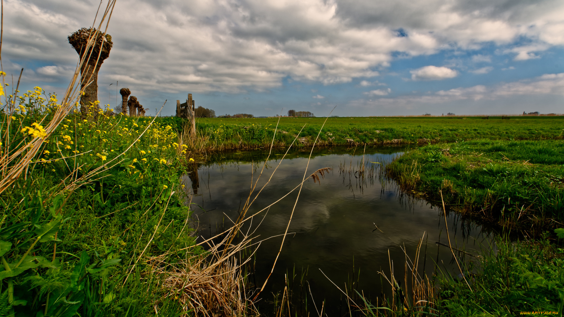 природа, реки, озера, поле, речка, трава, цветы
