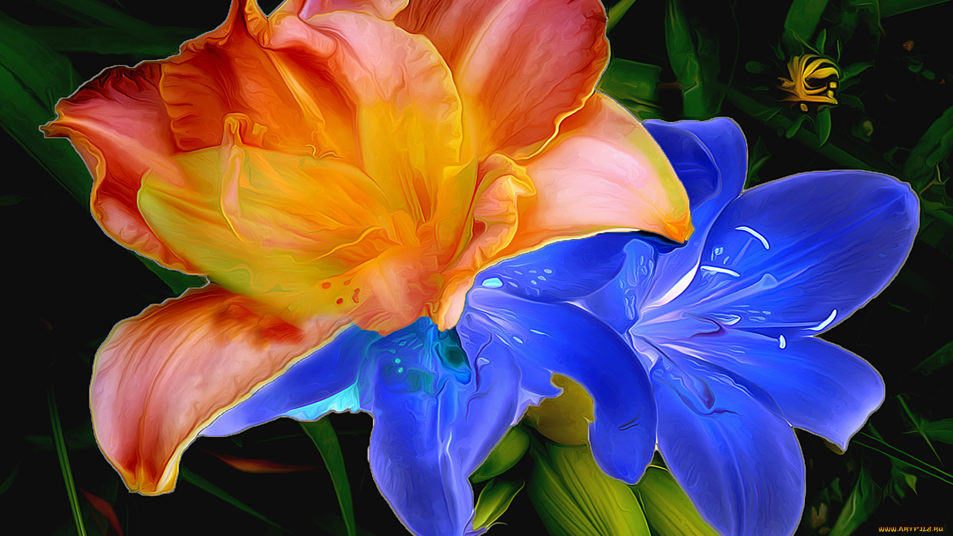 разное, компьютерный, дизайн, линии, краски, штрих, цветы, лепестки, лилия