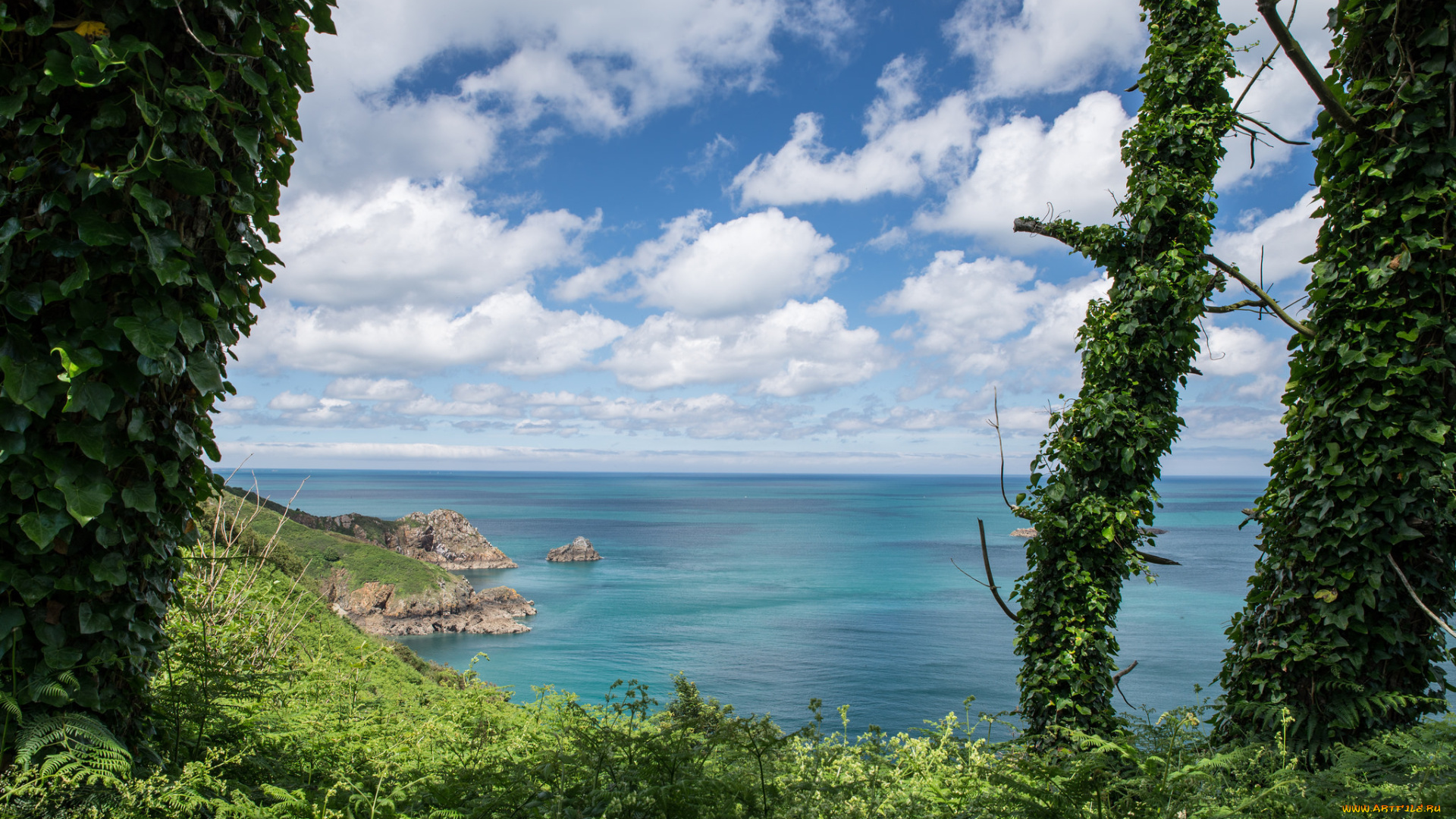 природа, побережье, берег, море