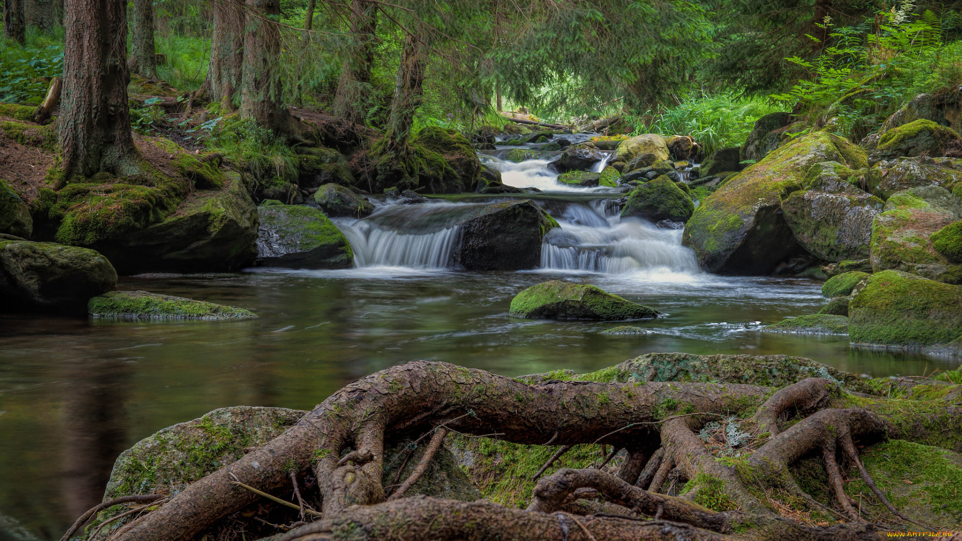 природа, водопады, река, водопад, лес