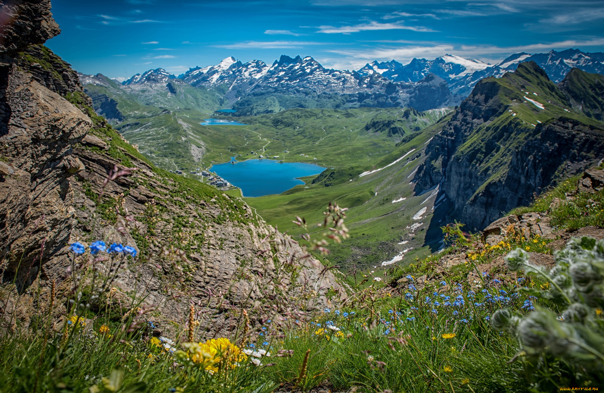 природа, реки, озера, река, лес