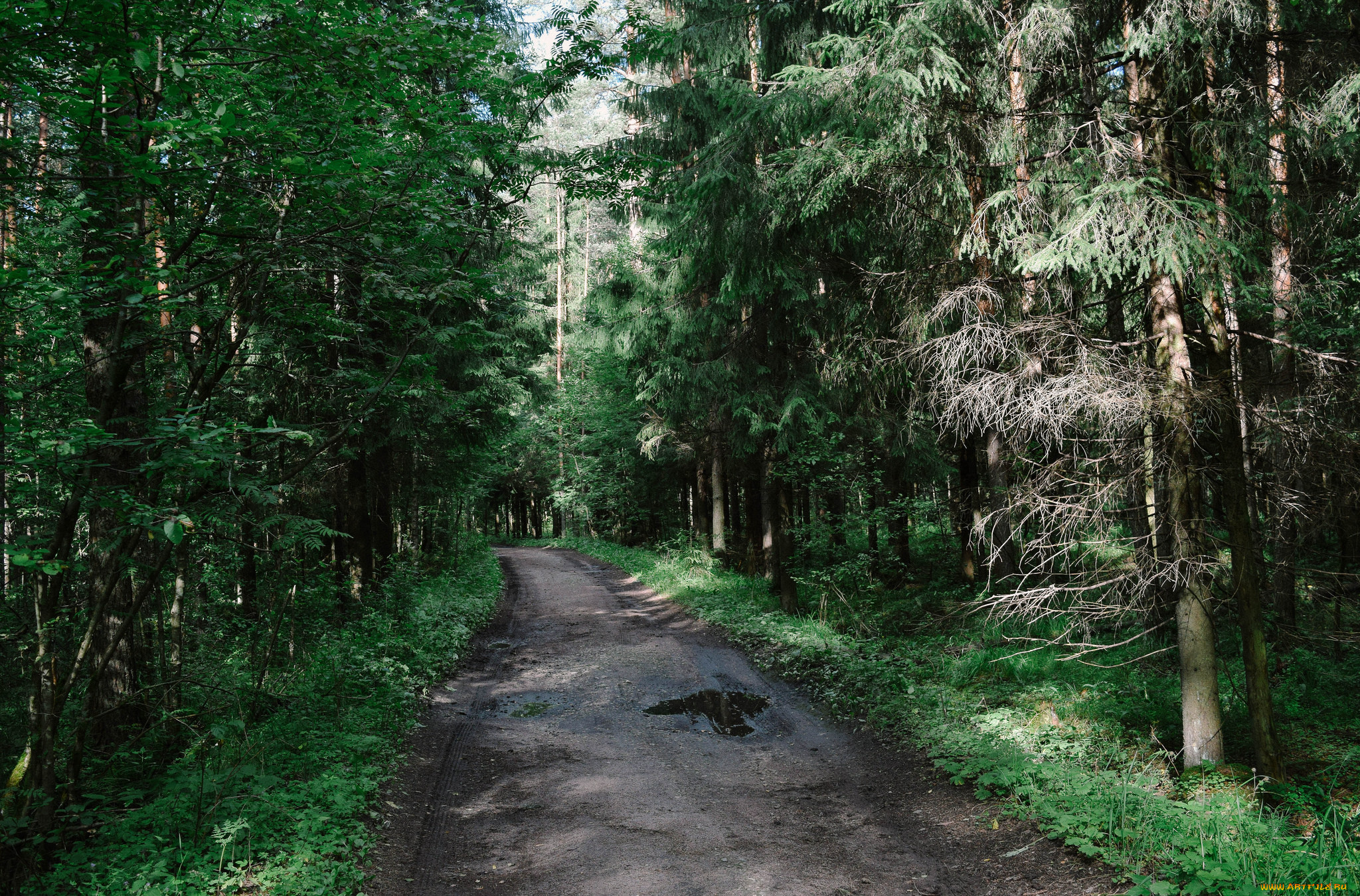 природа, дороги, тракт