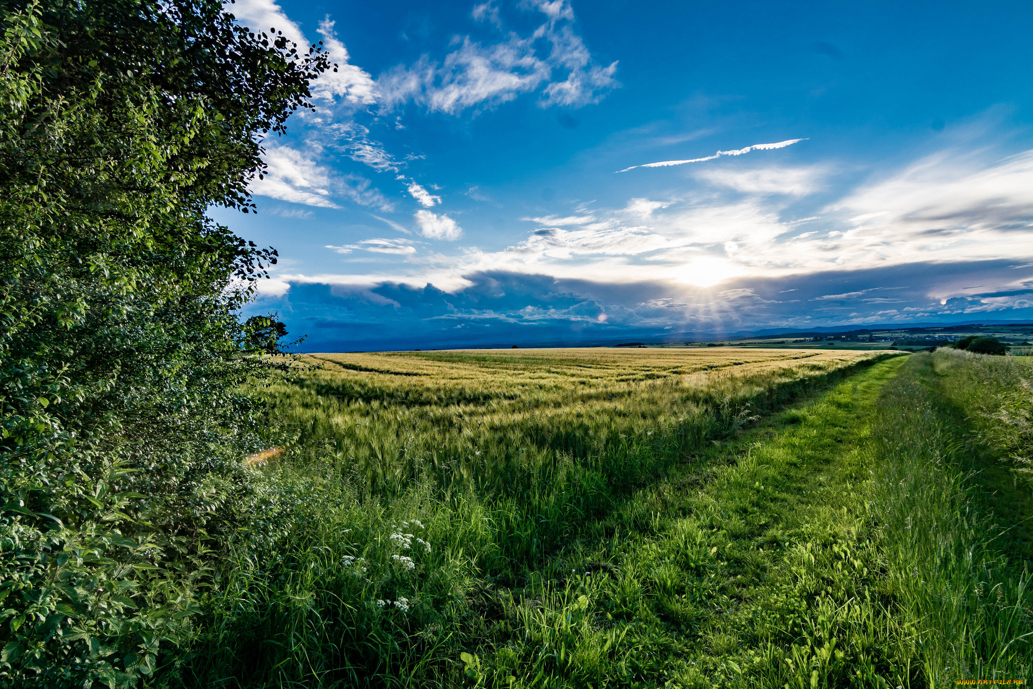 природа, дороги, тракт