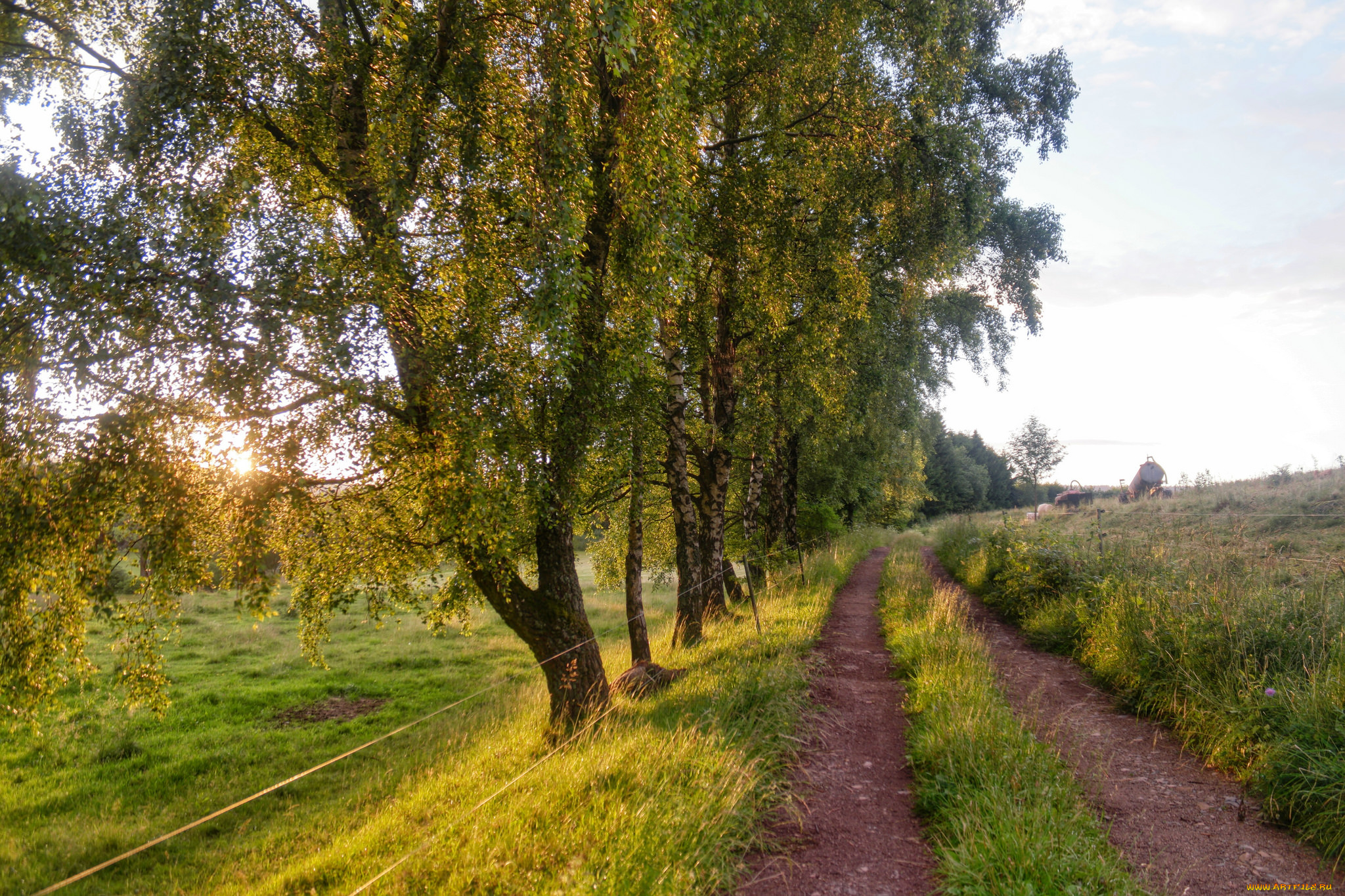 природа, дороги, тракт