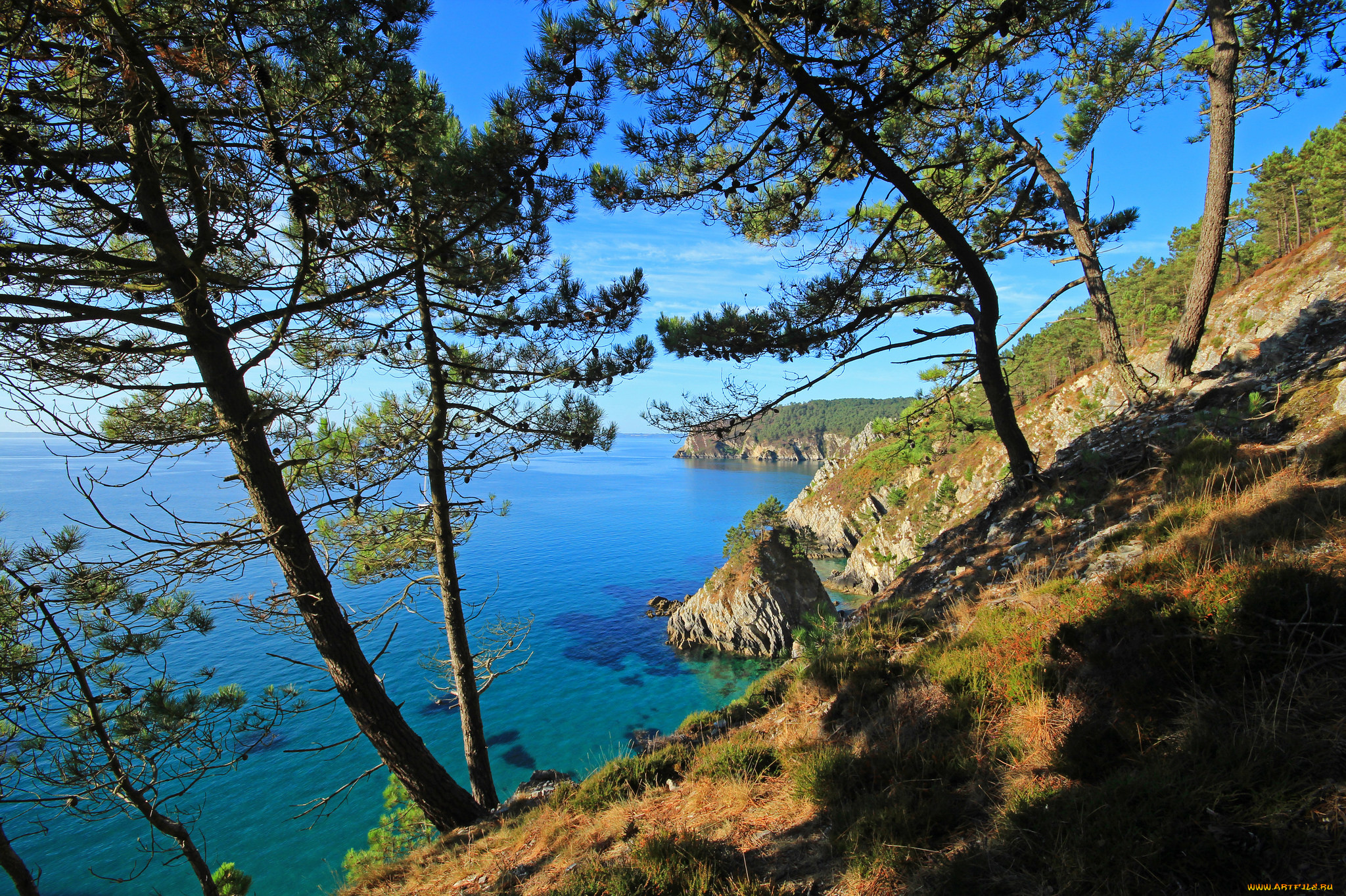 природа, побережье, берег, море