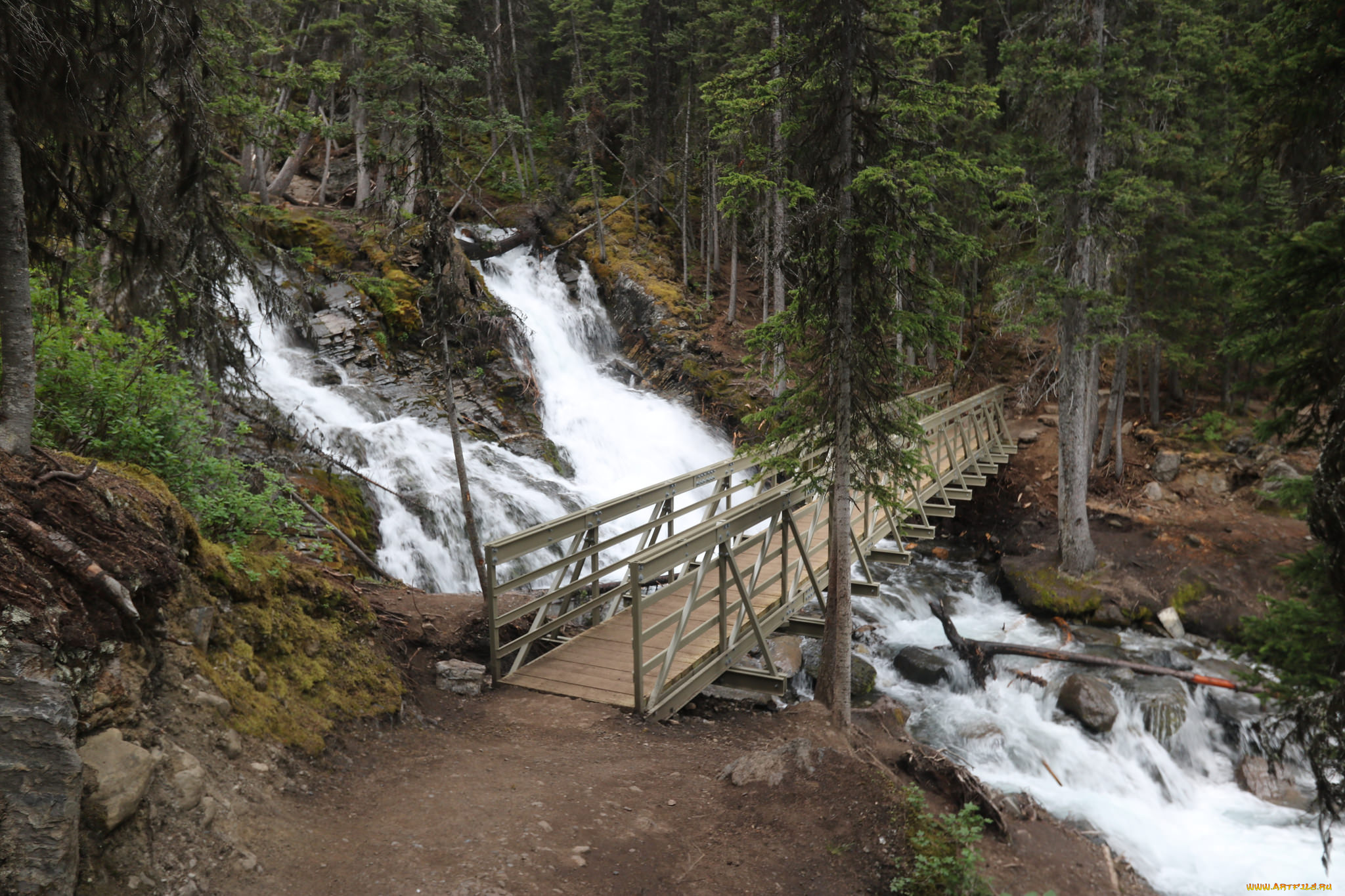 природа, водопады, лес, река, водопад