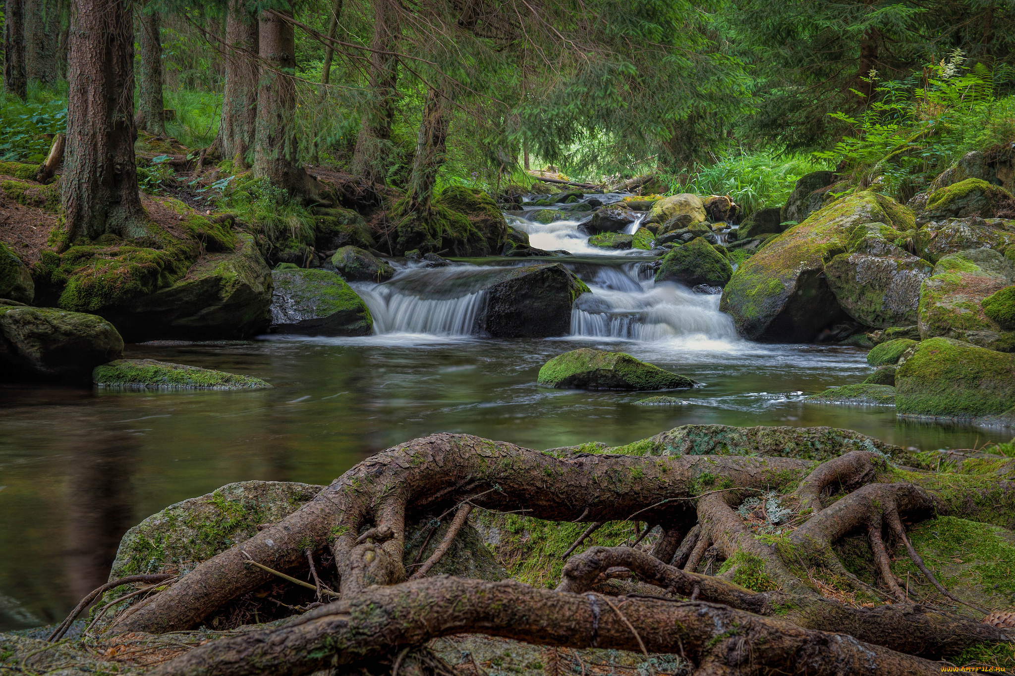 природа, водопады, река, водопад, лес