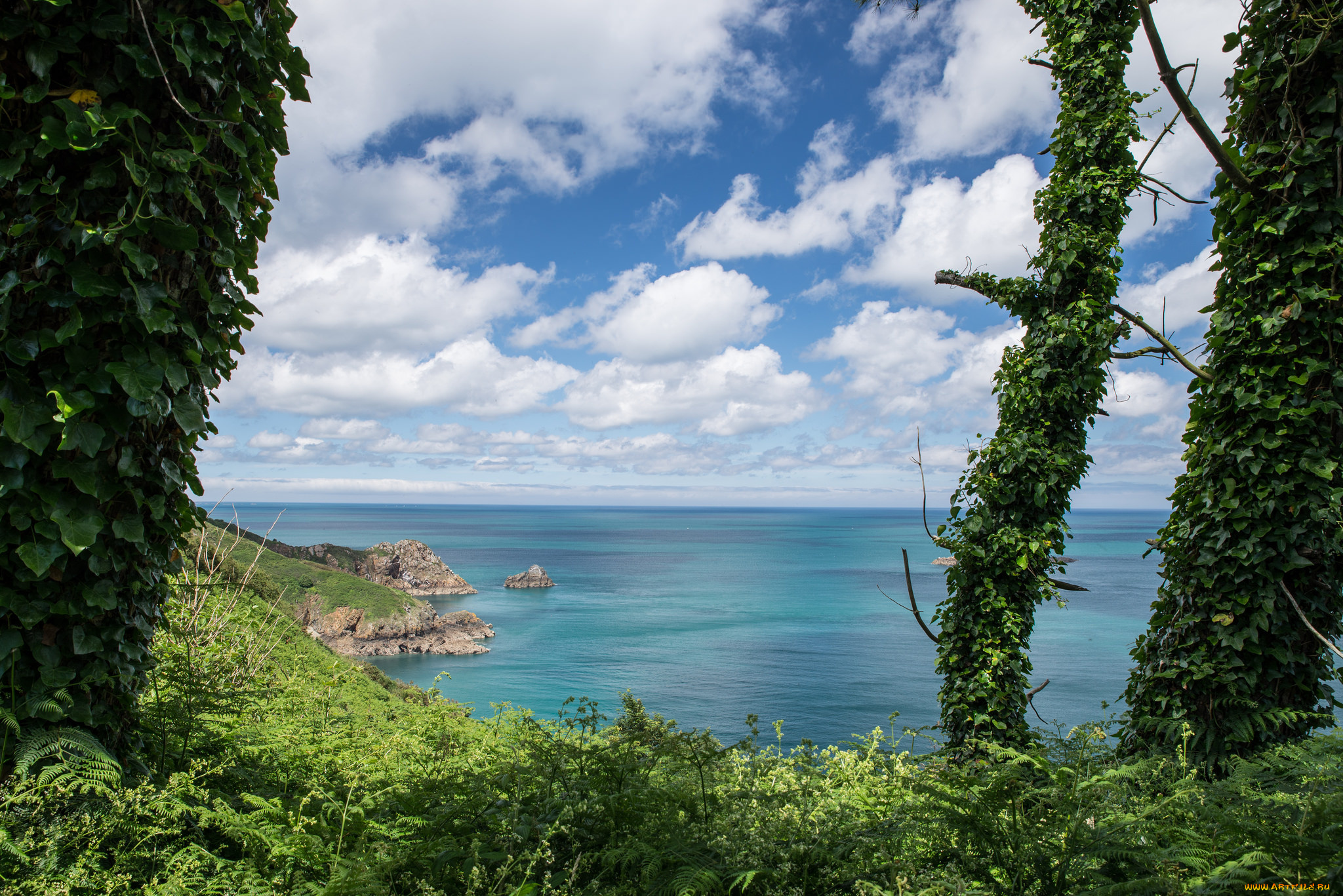 природа, побережье, берег, море