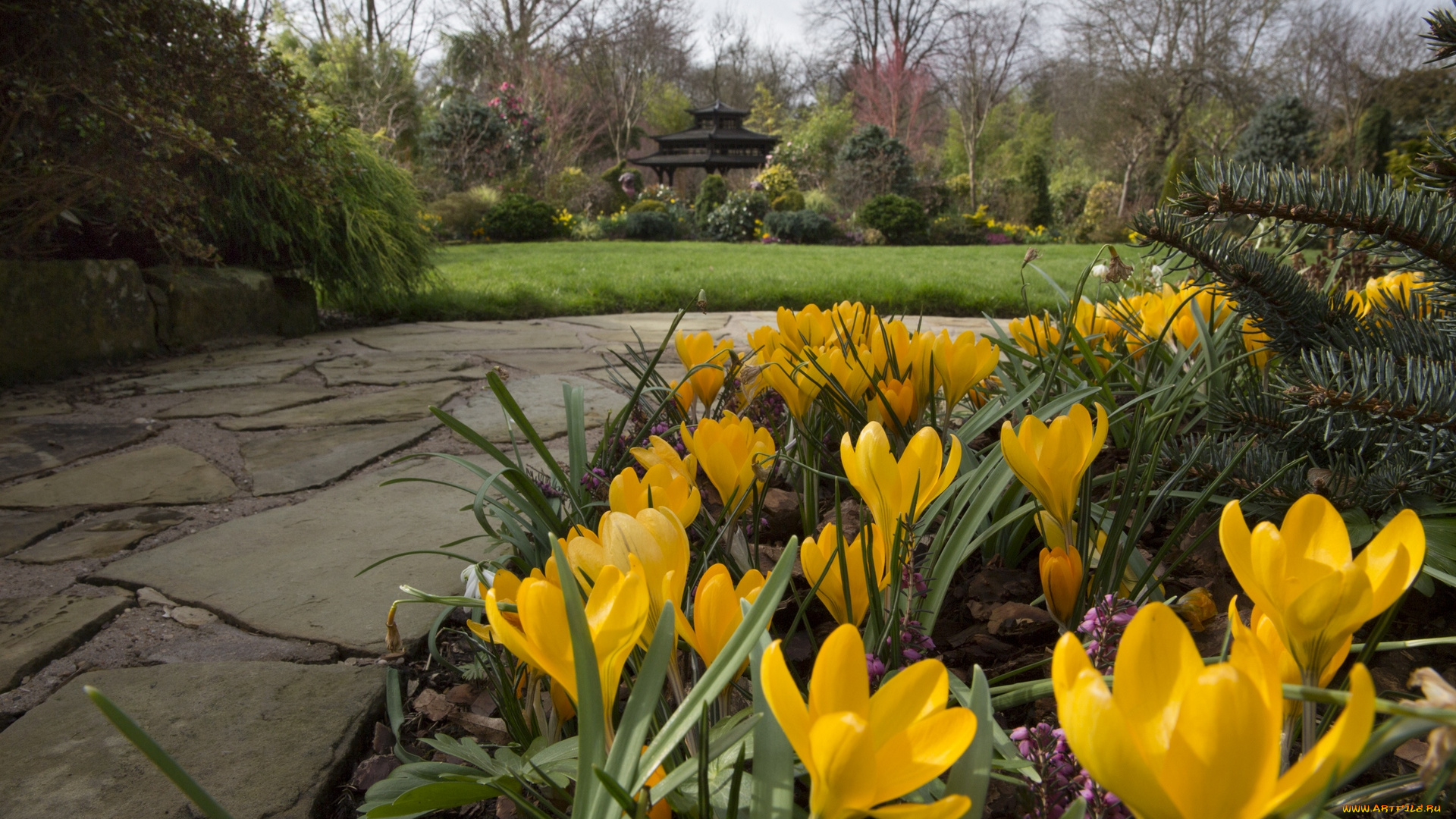 англия, природа, парк, крокусы, трава, дорожка, постройка, деревья