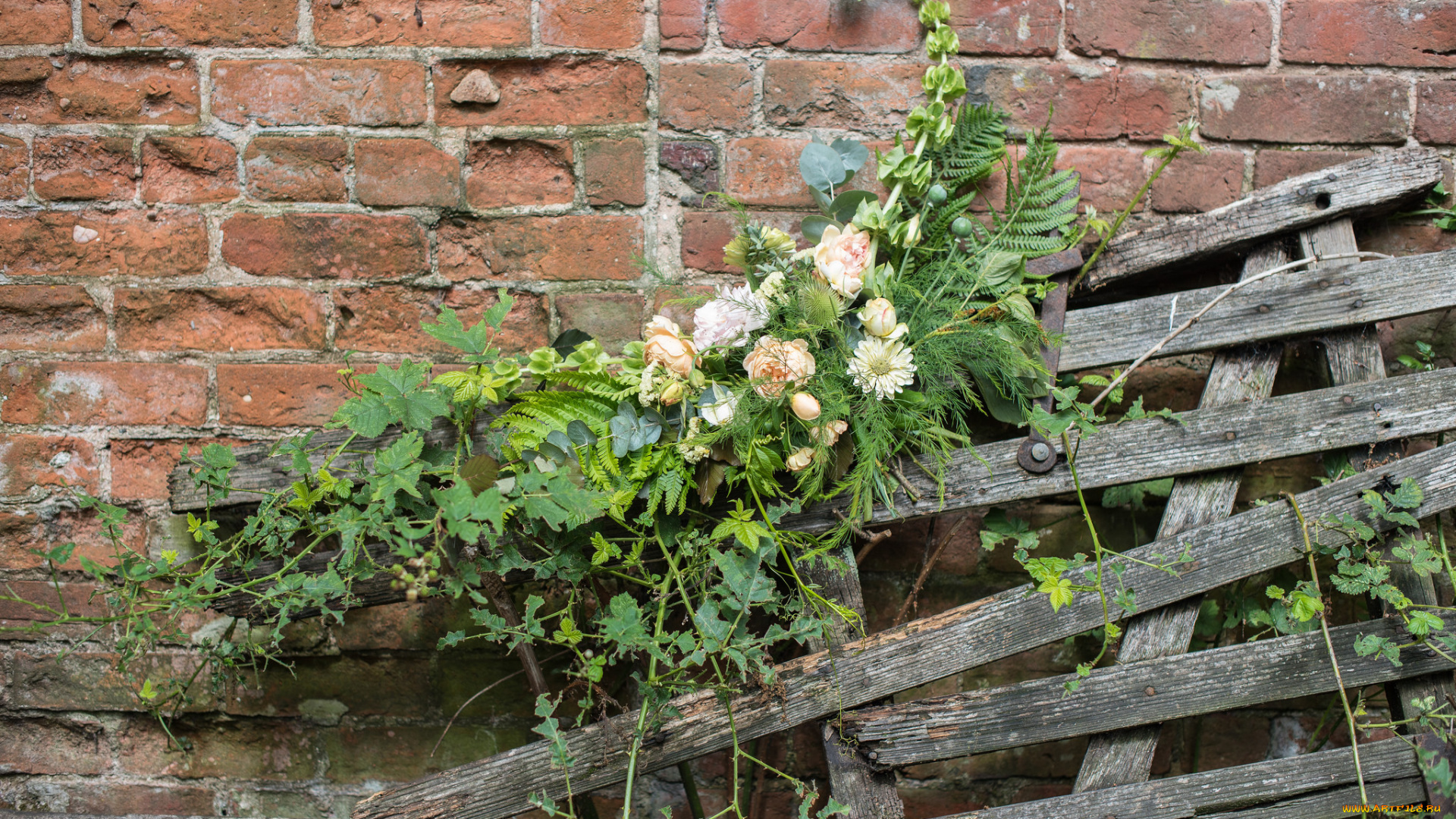 цветы, букеты, , композиции, композиция, розы, букет