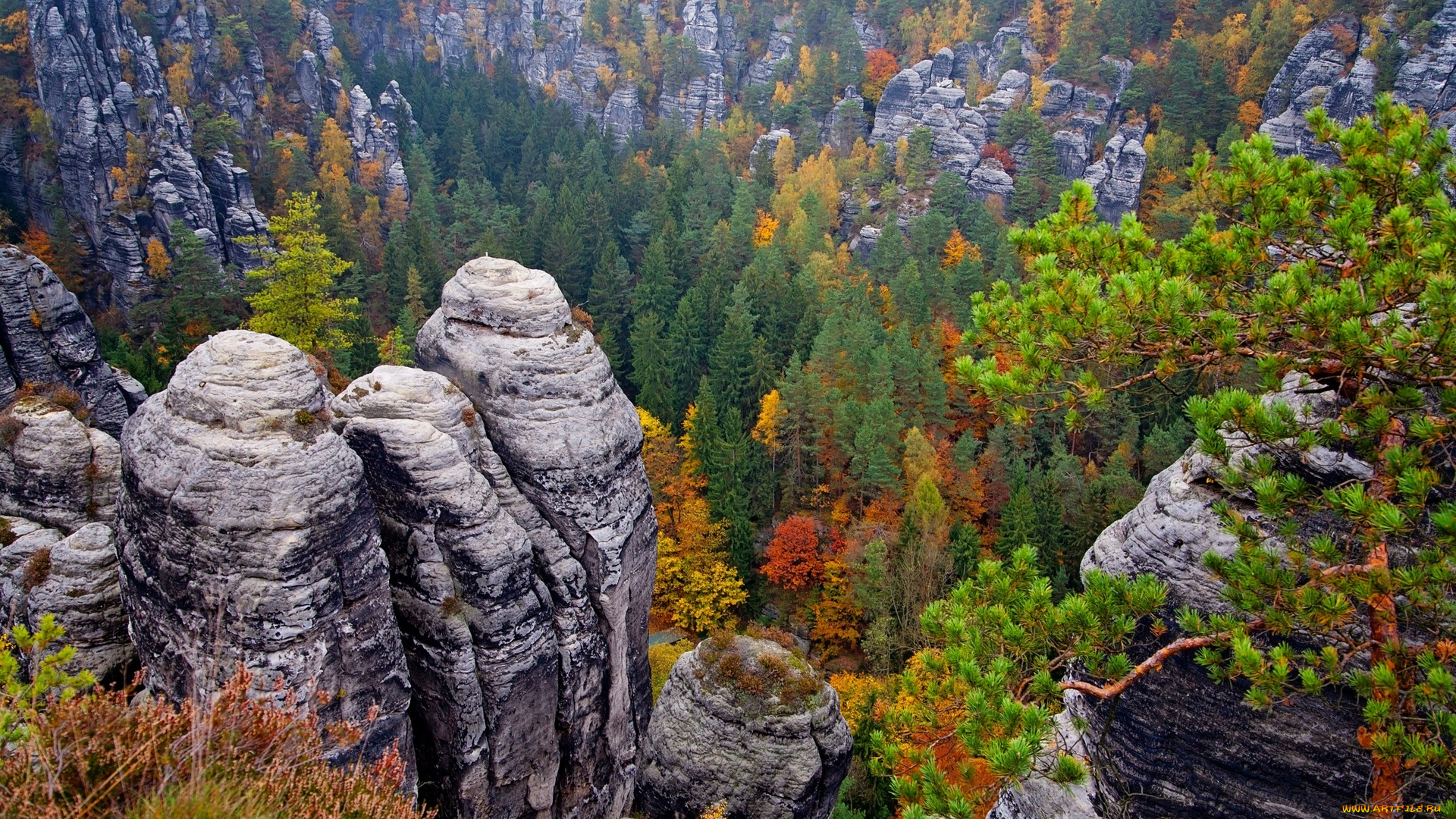 германия, природа, пейзажи, деревья, камни